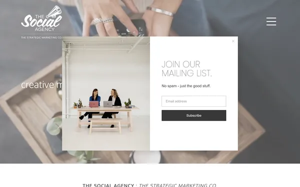 img of B2B Digital Marketing Agency - The Social Agency